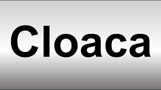 How to Pronounce Cloaca