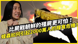 千億蝗蟲災害，如何引起兩千萬人的糧食危機? ｜Greenvoice 綠之心EP9 ｜綠色和平台灣