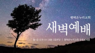 [평택온누리 새벽기도] 세상의 빛이신 예수 그리스도 (요한복음 8:12-20) 2025.1.28