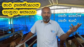 Successful sheep farming by Nataraj Reddy