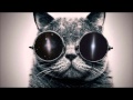 Wonderwall vs Tremor remix