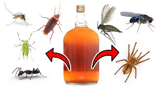 How to Use Wood Vinegar to Get Rid of Pests - Aphids, Mosquitoes, Ants, Fruit Flies, Cockroaches...