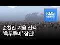 순천만 겨울 진객 ‘흑두루미’ 장관…역대 최다 관측 / KBS뉴스(News)