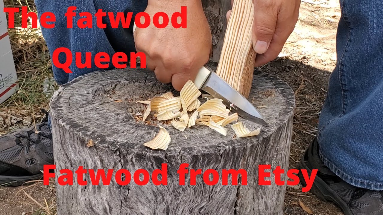 Shlisa Shell The Fatwood Queen Testing Fatwood From Etsy Burning Some