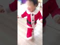 a christmas outfit gift from the cat to his little brother shorts cat cute christmas xmas