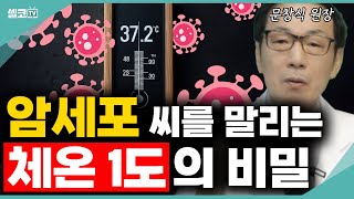 체온이 1도 낮아지면 몸의 면역력이 30% 증발합니다, 그럼 체온이 1도 올라간다면?! (문창식 원장) #암 #항암 #체온 #건강