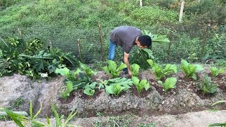 农村光棍活得太潇洒，吃饭时间一到，马上搞个韭菜焖鲤鱼下酒