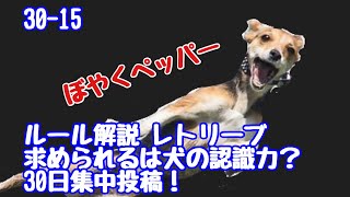 ディスクドッグ簡単ルール解説　フリースタイル 犬の項目②Retrieval　ディスクの認識能力【30日毎日投稿14日目】