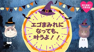 エゴまみれになっても、叶うよ！#潜在意識 #恋愛 #復縁 #片思い #引き寄せの法則