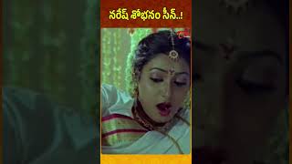 నరేష్ శోభనం సీన్..! #shorts #ytshorts #comedy #telugumovies #funnyvideos | Navvula Tv