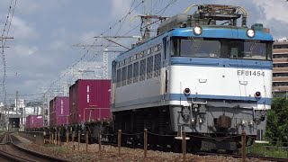 【JR貨物】４０９５レ ＥＦ８１-４５４ ＮＳＵトランスポート積載