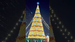 🎄올 겨울 데이트 필수 코스 2024 광화문 크리스마스마켓 🎄