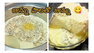 జున్ను పాలతో జున్ను తయారీ విధానం - perfect junnu recipe in telugu l  junnu 😋ll #junnuvlogs