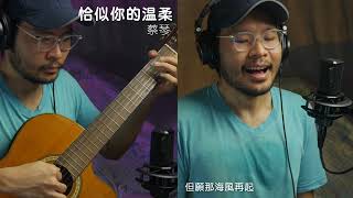 恰似你的温柔 - 蔡琴 (Guitar Cover)