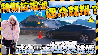 特斯拉上合歡山看雪被拒？！挑戰地獄水晶宮｜雪鏈到底怎麼裝｜【Echo’s Ev Life】