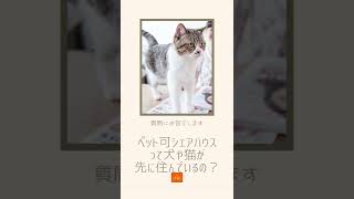 ペット可シェアハウスって犬や猫が先に住んでいるの？【質問にお答えします_010】#多頭飼育可賃貸 #ペット可賃貸 #ペット可シェアハウス #オンコ株式会社