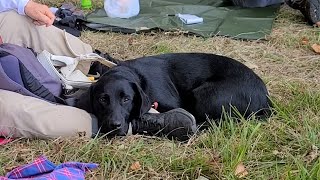 盲導犬と山登り　飯田の原さんに同行