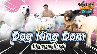 พิเศษหมาใหญ่ Dog King Dom I เพื่อนรักสัตว์เอ๊ย