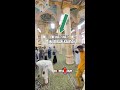 INILAH BATAS TAMAN RAUDAH YANG BENAR BANYAK SALAH SOLAT #shorts #shortvideo #madinah