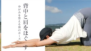 【ヨガ初心者向け】ヨガの基本的なポーズを丁寧解説します「キャットストレッチ」