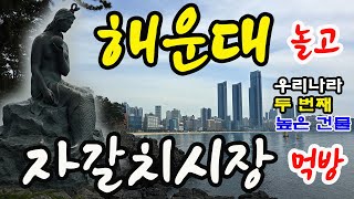 부산 1번지 해운대 동백섬 탐방코스 AND 자갈치시장 활어회 먹방 하루코스 즐기기