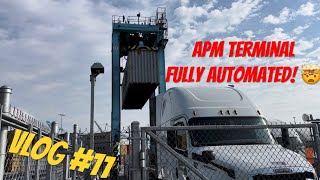 Trucking Vlog #11 | A Day in the life of a Port Driver | APM is FULLY Automated now! |