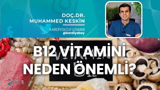 B12 Vitamini: Enerjinin ve Sağlığın Gizli Anahtarı!