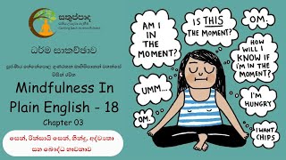 Discussion - Mindfulness In Plain English 018 - සෙන්, තන්ත්‍ර, අද්ව්‍යතා සහ බෞද්ධ භාවනා