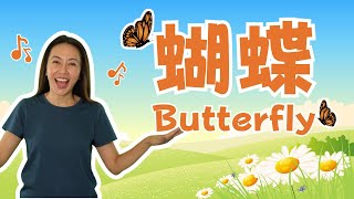 蝴蝶 | Hu Die | Butterfly | Kelly老師唱兒歌 | Mandarin Nursery Rhyme w/ Kelly Laoshi