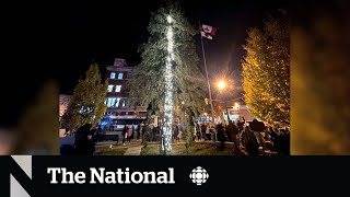 #TheMoment Orillia, Ont., lit up 'Canada's worst Christmas tree'