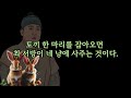 마님도 밤은 외롭다 오늘도 평안한 시간 되세요