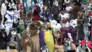 My first furry convention ever: Eurofurence 15