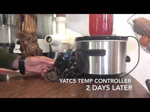 Make Water Kefir Without Starter Grains Make Water Kefir Without Starter Grains