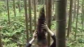 #41 Bamboo Shoot Picking