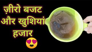 गुलदाउदी का जादुई खाद 2022 Hindi/ Best Fertilizer for Chrysthumum #jyotiale