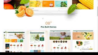 Freshio - Organic and Food Store WordPress Theme store shop Build Website