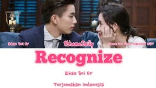 Zhao Bei Er (赵贝尔) – Recognize (认定) Once We Get Married 只是结婚的关系 OST