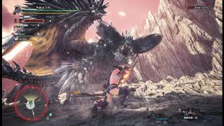 【MHW:IB】殲滅之鐘，再次作響 - 太刀不能自己TA 只好叫人 /w Solinari