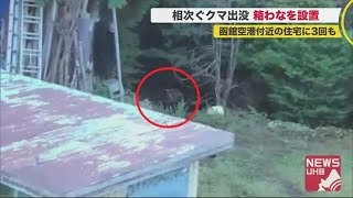 「人を恐れてなかった」3日で3回クマ出没した空港付近の民家の庭に\