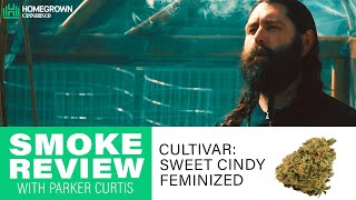 Reviewing Sweet Cindy Feminized with Parker Curtis and the Homegrown Cannabis Co.