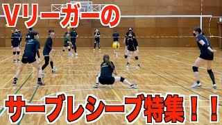 サーブレシーブ特集！Vリーガーから学ぼう！【バレーボール】