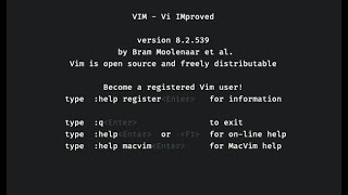 The power of MacVim