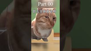 吃东西以为没被发现的你 #meme #猫咪 #人间真实 #新鲜哥 000