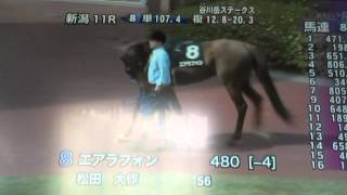 2014/5/4新潟11R 谷川岳ステークス サラ系4歳以上 1600m 芝・左　外（国際）（指定） オープン