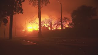 Hollywood Hills fire breaks out as deadly wildfires burn out of control across Los Angeles area - WG