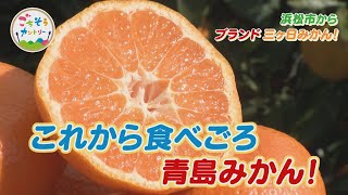 ごちそうカントリー ～血圧を下げたり、骨の健康に役立ったり…栄養がいっぱい！おいしいみかんの選び方とは？～