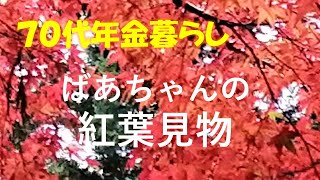 ばあちゃんの紅葉見物【70代ばあちゃんの暮らし】シニアライフ