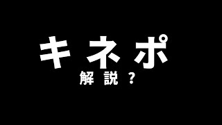 【ゆっくり】誰のためにもならないAviutl講座【キネポ解説】#0番外編