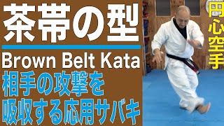 攻撃を吸収する捌き・茶帯の型 Brown Belt Kata　円心空手 Enshin-Karete