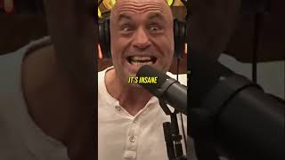 Biggest Anaconda In The World! - Joe Rogan